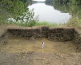 An open pit exposes a 3,200-year-old shell midden. Native Americans used middens as trash piles for oyster shells, animal bones and pottery. Image: Torben Rick, Smithsonian.